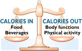 calorie scale balance